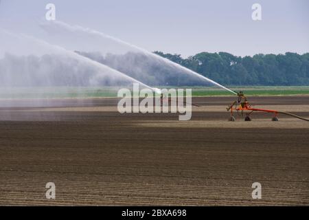 Spruzzare acqua con due impianti di irrigazione su un campo nei Paesi Bassi in primavera. L'acqua è pompata su da un fossato Foto Stock