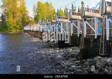 Sockeye Salmon Hatchery Fish Counting Fence, Fulton River, British Columbia, Canada Foto Stock