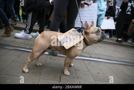 Manchester, Regno Unito. 6 Giugno 2020. Migliaia di manifestanti scendono in piazza in solidarietà con il movimento 'Black Lives Matter' dopo la morte di George Floyd in America. I manifestanti hanno sfidato le regole del governo sulle restrizioni di gruppi di non più di sei persone da aggregare. La maggior parte dei manifestanti indossava maschere che si svolgono durante la pandemia di covidio. REGNO UNITO. Credit: Barbara Cook/Alamy Live News Foto Stock