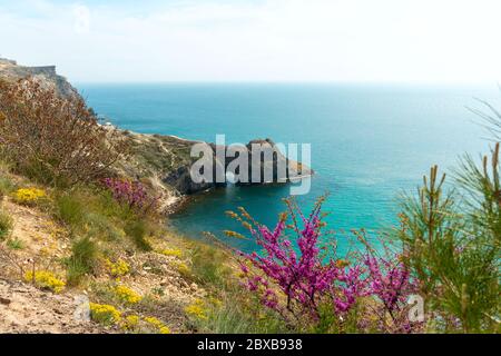 Bellissimo mare vicino alla costa montana. Grotta di Diana, Capo Fiolent, Sevastopol Foto Stock