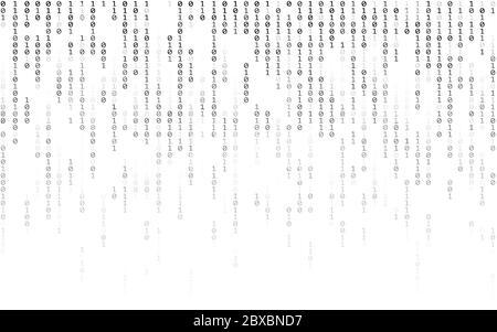Codice binario su sfondo bianco. Effetto matrice con cifre in discesa. Flusso di dati digitali. Numeri casuali in caduta su sfondo chiaro. Illustrazione vettoriale Illustrazione Vettoriale