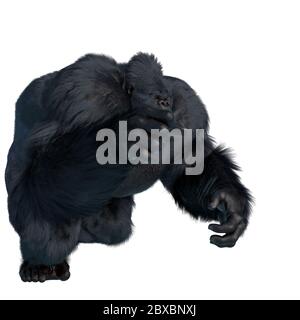 super gorilla andare a ottenerlo. Questa bestia gigante nel tracciato di ritaglio è molto utile per le creazioni di progettazione grafica, illustrazione 3d Foto Stock