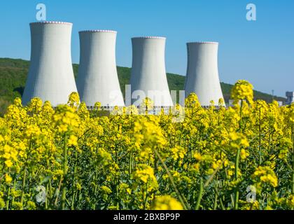 Campo di colza, canola o colza, in latino Brassica napus con la centrale nucleare Mochovce sullo sfondo. Foto Stock