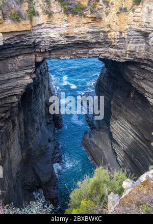 Tasman Sea Arch Eaglehawk Nest Tasmania Australia Foto Stock