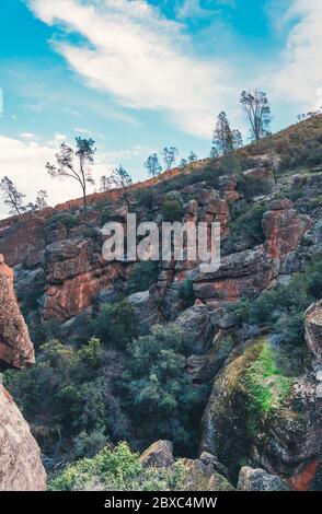 Foto verticale di montagne torreggianti e vegetazione lussureggiante al Parco Nazionale di Pinnacles Foto Stock