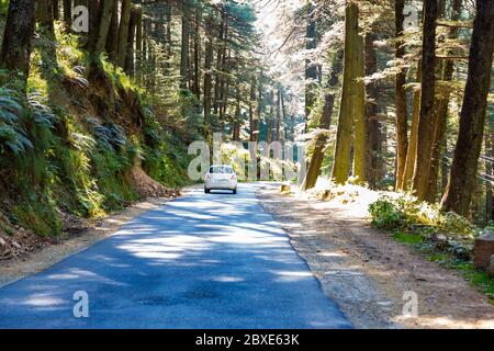 Strada che conduce alla stazione di Chail Hill a Shimla, India Foto Stock