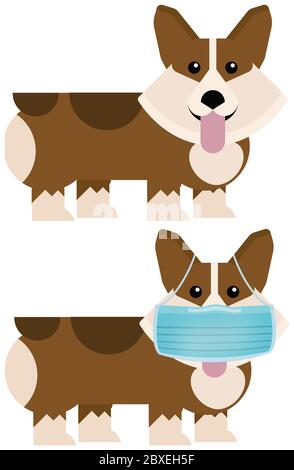 Corgi con e senza maschera di faccia Illustrazione Foto Stock