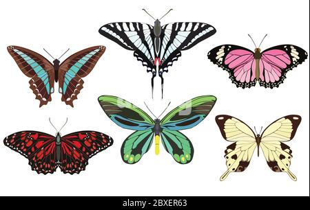 Disegnato insieme con farfalle colorate di diversi tipi. Illustrazione vettoriale Illustrazione Vettoriale