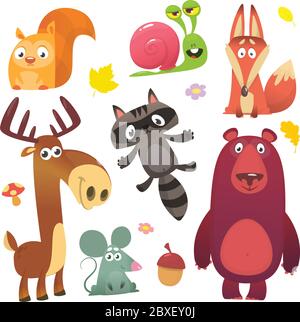 Cartoni animati animali della foresta. Set di animali carini di cartoni animati selvatici. Grande insieme di cartoni animati animali da foresta disegno vettoriale piatto. Scoiattolo, lumaca, ra Illustrazione Vettoriale