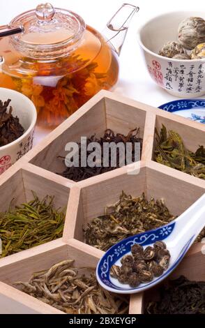 Tipi di tè cinese compreso, tè fiorito, Pouchong, Long Jing, Anji Bai Cha, aghi d'argento di gelsomino, perle di gelsomino, tè di Oolong e tè di Puerh. Foto Stock