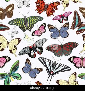 Schema senza giunture di farfalle multicolore su sfondo chiaro illustrazione vettoriale. Illustrazione Vettoriale
