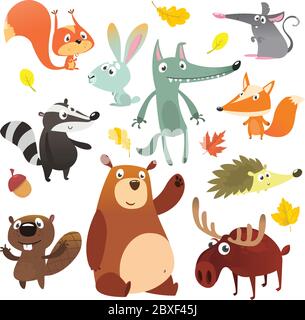 Animali della foresta di Cartoon. Set divertente di animali cartoni animati. Disegno di illustrazione vettoriale piatto. Scoiattolo, topo, tasso, lupo, volpe, castoro, orso, alce Illustrazione Vettoriale