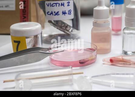 Analisi ematologica con kit di test forensi in un omicidio in un laboratorio di criminalità, immagine concettuale Foto Stock