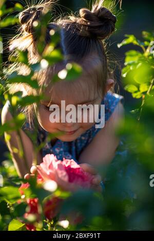 Adorabile bambina che sniffing fiori viola. Bambini e fiori, estate, natura e divertimento. Vacanze estive. Foto di alta qualità Foto Stock