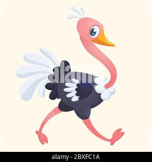 Carino struzzo cartoon. Illustrazione o icona vettoriale Illustrazione Vettoriale