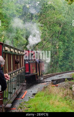 Ffestiniog, Galles del Nord, Regno Unito: 14 settembre 2017: Un treno a vapore a scartamento ridotto trasporta carrozze turistiche attraverso la campagna sulla Ferrovia Ffestiniog Foto Stock