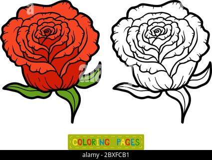 Libro da colorare per bambini, fiore Rosa Illustrazione Vettoriale