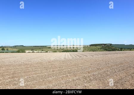 Terreni calcarei e campi di patchwork dei panoramici wolds dello Yorkshire all'inizio dell'estate Foto Stock