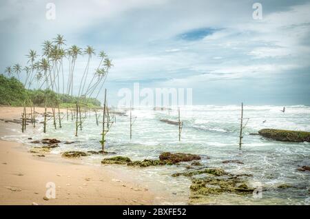 Sri Lanka palpita i pescatori bastoni in una giornata ventosa. I pescatori di palafitte dello Sri Lanka, che frequentano le spiagge del sud dell'isola, costituiscono uno dei Foto Stock