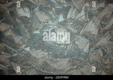 Corteccia di un albero di legno di una palma come sfondo - irreale Foto Stock