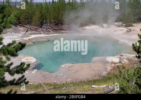 Foto di Smeraldo Primavera 3 agosto 2007 Norris Geyser Basin, Parco Nazionale di Yellowstone Canon 20D Foto Stock