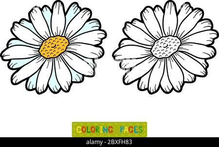 Libro da colorare per bambini, fiore Chamomile Illustrazione Vettoriale