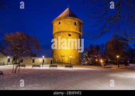 L'esterno del Museo Kiek in de Kök a Tallinn al mattino. Questa è una delle molte antiche Torri medievali ancora rimaste in città. Foto Stock