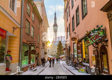 TALLINN, ESTONIA - 5 GENNAIO 2017: Raekoja plats, Piazza del Municipio Vecchio a Tallinn la mattina durante il periodo festivo. Decorazioni natalizie, marke Foto Stock