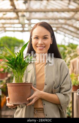 Ritratto di felice giovane donna asiatica in camicia casual in piedi con pianta verde in vaso mentre lavora in serra Foto Stock