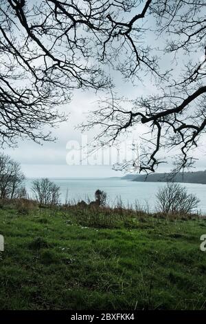 Una vista sul fiume Helford in Cornovaglia in una fredda giornata fredda. Foto Stock