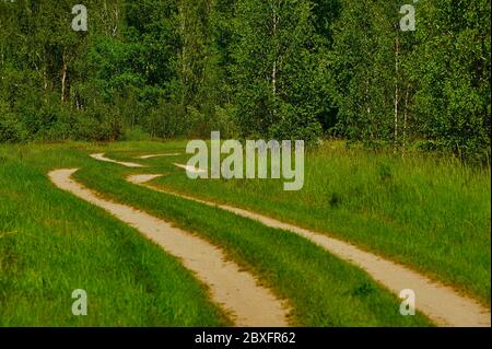 Strada sabbiosa attraverso il prato che conduce verso la foresta Foto Stock