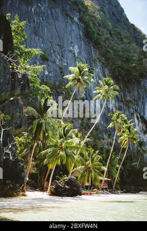 El Nido, Palawan, Filippine. Appartata capanna tropicale sotto palme sull'Isola di Pinagbuyutan Foto Stock