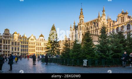 Grand Place nel centro storico di Bruxelles durante le vacanze di Natale. Bruxelles, Belgio, Europa Foto Stock