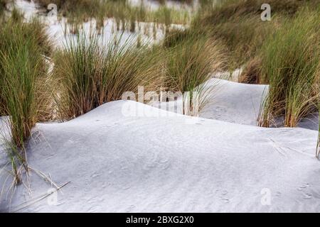 Vista sulla spiaggia delle isole Archway con dune di sabbia sulla spiaggia di Wharariki, Puponga, Isola del Sud della Nuova Zelanda. Foto Stock