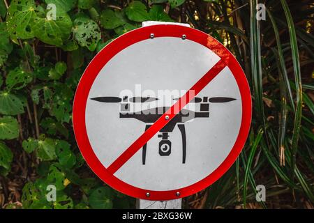 Nessun segno di zona drone sull'albero. Voli con droni vietati nel Parco Nazionale di Paparoa, Costa Ovest, Isola del Sud, Nuova Zelanda. Foto Stock