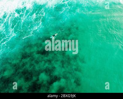 Vista aerea di un surfista che si trova su una tavola da surf che si affaccia sull'oceano, Gosford, New South Wales, Australia Foto Stock