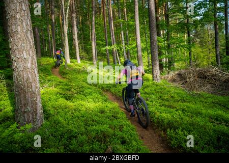 Uomo e donna in mountain bike attraverso la foresta, Klagenfurt, Carinzia, Austria Foto Stock