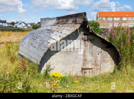 Vecchie barche da pesca girarono su tagliate e usate come capannoni di deposito a Lindisfarne, Northumberland, Inghilterra Foto Stock