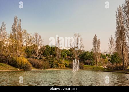 Lago nel parco centrale della città di Tres Cantos. comunità di Madrid. Spagna Foto Stock