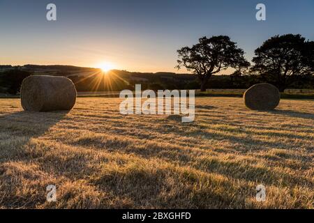 Sole che si trova dietro le colline e i campi aperti con lunghe ombre su un raccolto di cereali raccolto con balle rotolate di paglia e alberi a metà distanza Foto Stock