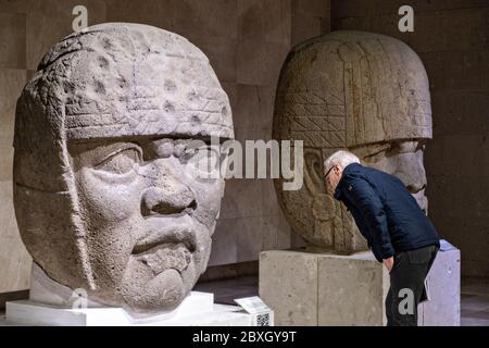 Visita turistica colossale teste di pietra Olmec al Museo di Antropologia nel centro storico di Xalapa, Veracruz, Messico. La civiltà Olmec fu la prima civiltà mesoamericana conosciuta, che risale approssimativamente dal 1500 a.C. a circa 400 a.C.. Foto Stock