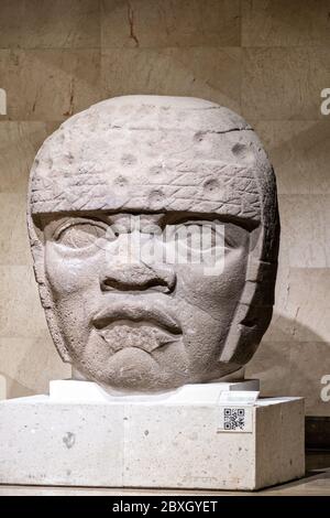 Colossale pietra Olmec in mostra al Museo di Antropologia nel centro storico di Xalapa, Veracruz, Messico. La civiltà Olmec fu la prima civiltà mesoamericana conosciuta, che risale approssimativamente dal 1500 a.C. a circa 400 a.C.. Foto Stock