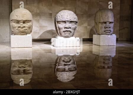 Colossale pietre di Olmec in mostra al Museo di Antropologia nel centro storico di Xalapa, Veracruz, Messico. La civiltà Olmec fu la prima civiltà mesoamericana conosciuta, che risale approssimativamente dal 1500 a.C. a circa 400 a.C.. Foto Stock
