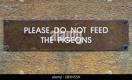 Non alimentare il cartello dei Pigeons Foto Stock