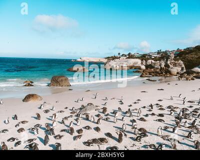 Spiaggia di Pinguine am Boulders Foto Stock