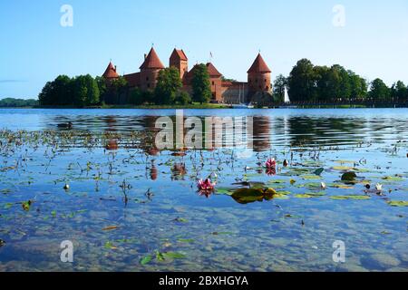 Il Castello di Trakai è un edificio storico situato a Trakai, Lituania, sul Lago Galve Foto Stock