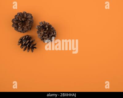 Coni di pino su un primo piano di sfondo arancione. Foto Stock