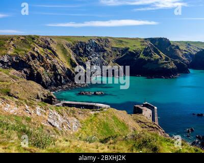 Affacciato su Mullion Cove in una bella giornata estiva soleggiata. Cornovaglia Inghilterra Regno Unito Europa Foto Stock