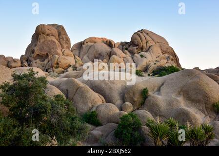 Parco nazionale di Joshua Tree paesaggio Foto Stock