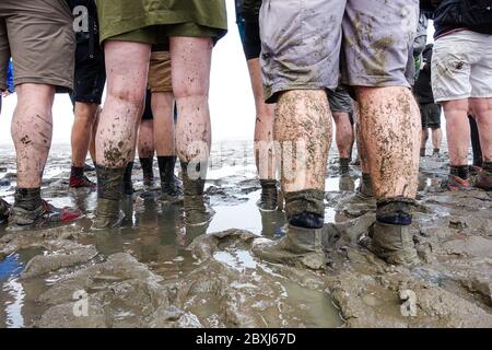 Escursioni a piedi su terreni fangati (Wadlopen, Wattwandern, Vadehavsvandring) tra i Paesi Bassi continentali (Frisia) e l'isola di Ameland Foto Stock